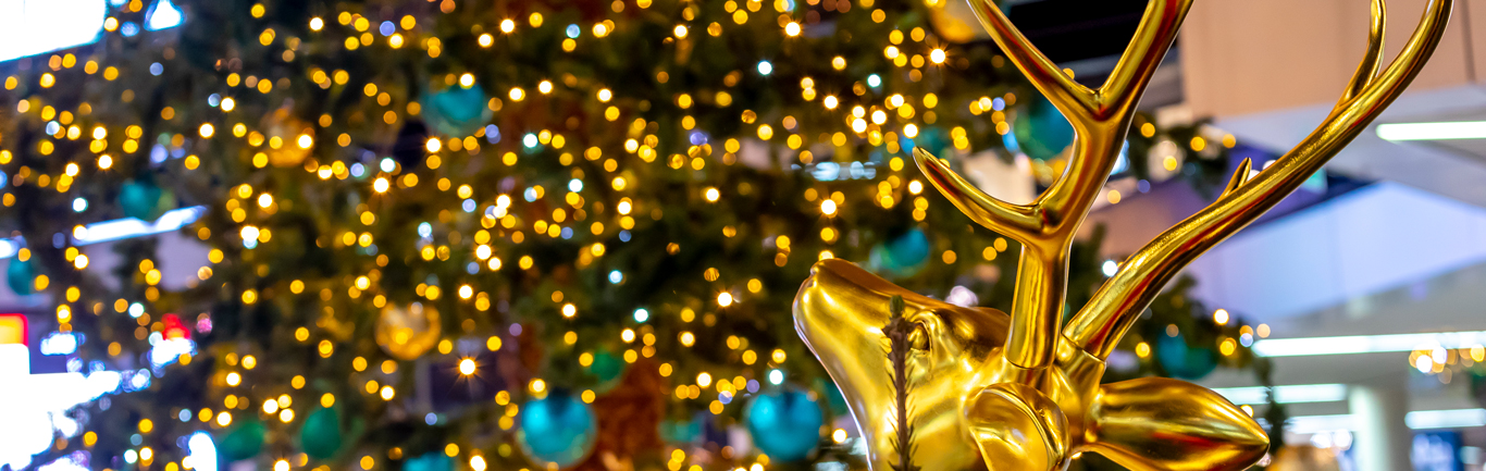 Eventos navideños Outlet